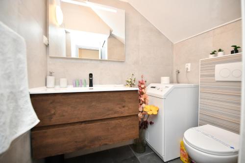 bagno con lavandino, servizi igienici e specchio di Palomino apartment a Sinj (Signo)