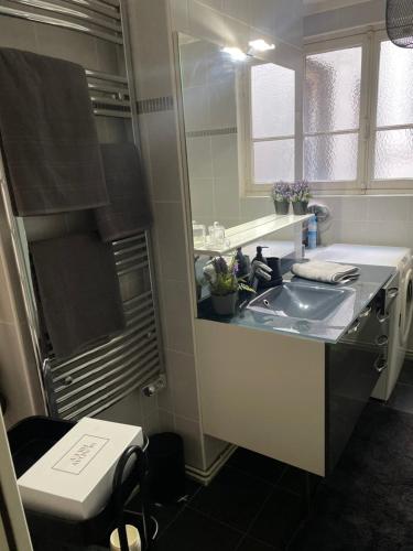 bagno con lavandino e servizi igienici di Appartement au cœur de Paris a Parigi