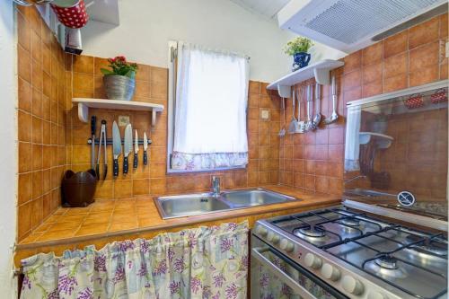 eine Küche mit einer Spüle und einem Herd in der Unterkunft Piccola Casa - a little paradise in Kršan