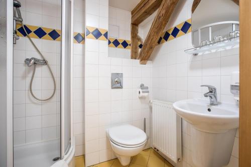 a bathroom with a toilet and a sink and a shower at Pyramida - Jizerka in Jizerka