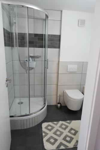 łazienka z prysznicem i toaletą w obiekcie Ruhige, modern eingerichtete 2 Zimmer Wohnung im Untergeschoss eines Zweifamilienhauses w mieście Hildrizhausen