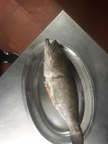 a dead fish sitting on a plate on a table at La Valle Verde hotel ristorante pizzeria in Zambrone