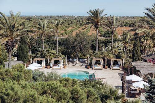 vista para a piscina num resort com palmeiras em Cal Reiet Holistic Retreat em Santanyí