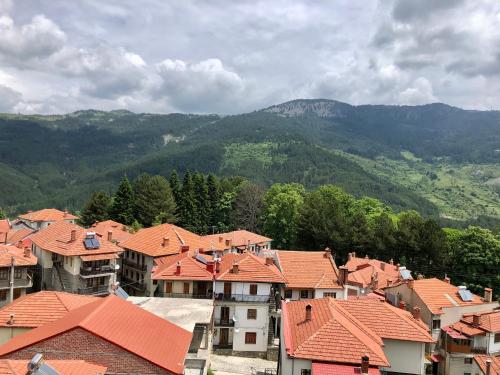 a town with red roofs and mountains in the background at Apostolos Hotel in Metsovo