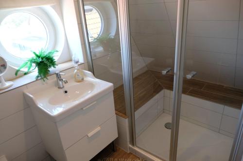 ein Bad mit einer Dusche und einem Waschbecken in der Unterkunft Altes Zollamt - Sünnschien - [#40126] in Kellenhusen