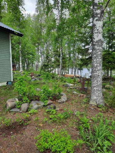 a yard with rocks and trees and a house at Luonnon rauhaa Kalliosaaressa, private island in Polvijärvi