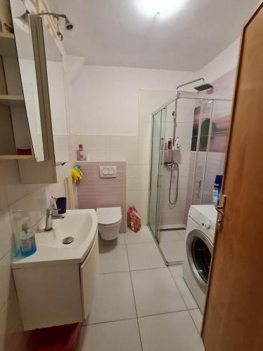 Apartments with WiFi Rijeka - 20929
