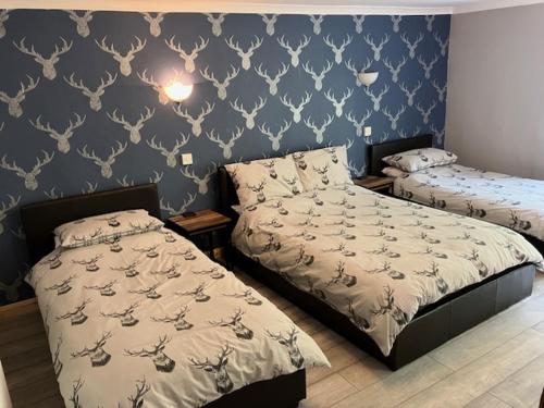 sypialnia z 2 łóżkami i niebieską ścianą w obiekcie Sir Andrew Murray House w mieście Strathyre