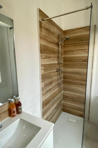 une salle de bain avec une douche avec un lavabo et un miroir dans l'établissement Le studio en Provence, à Saint-Didier