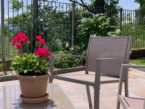Κήπος έξω από το Villa Bella Piemonte