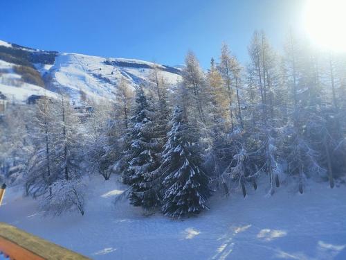 萊德薩阿爾卑斯的住宿－Studio 4-6 couchages.pied des pistes.Résidence Montana1，享有雪覆盖的树木和山脉的空中景致