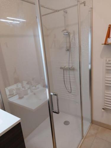 een badkamer met een douche en een wastafel bij Studio neuf à louer à Dinard 3 nuits minimum in Dinard