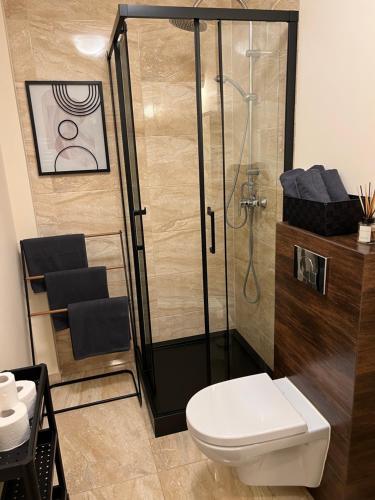 a bathroom with a shower and a white toilet at Apartament Żeglarski Vęgoria Deluxe z widokiem na Port in Węgorzewo