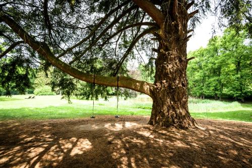 Taman di luar Schloss Kaarz mit Park