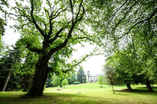 Taman di luar Schloss Kaarz mit Park