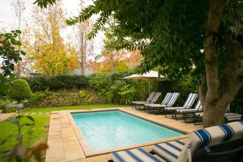 a swimming pool with lounge chairs and a tree at Maison Chablis Guest House in Franschhoek