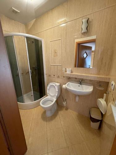 a bathroom with a toilet and a sink and a shower at Villa Aida in Mielno