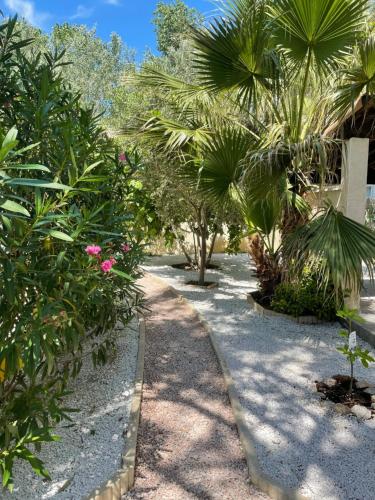 un jardin avec des palmiers et une passerelle dans l'établissement MARSEILLAN PLAGE JOLI T2, à Marseillan