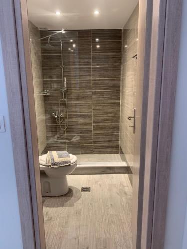 a bathroom with a shower and a toilet in it at Stavroula's House in Skiathos Town