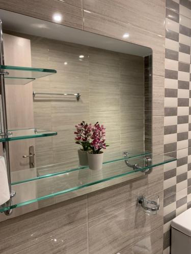 a bathroom with glass shelves and a mirror at Stavroula's House in Skiathos