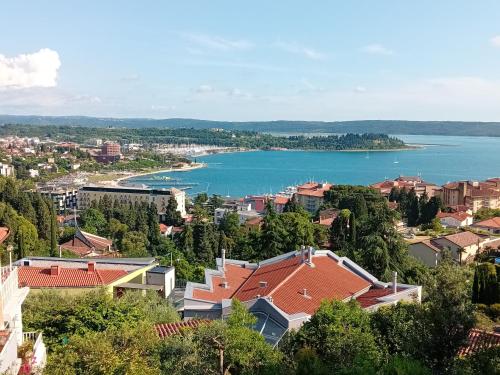 a view of a city and a lake at Apartments Heidi in Portorož