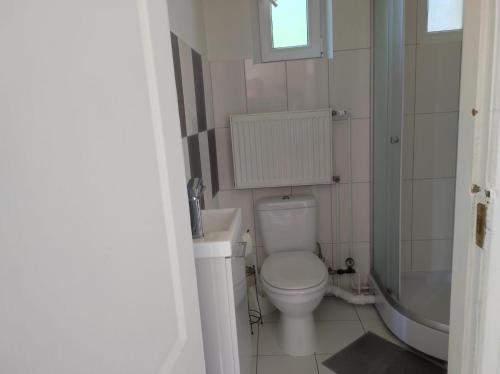 a bathroom with a toilet and a sink and a shower at St.Pauls apartment in Riga