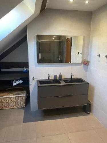 une salle de bain avec un lavabo et un miroir dans l'établissement Le Logis Du Regisseur Gite, à Charny