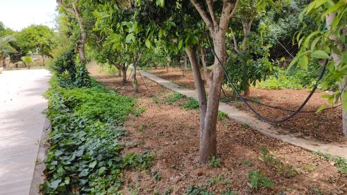 Jardín al aire libre en Stunning Villa with Pool, Table tennis, Table soccer and a Pool table