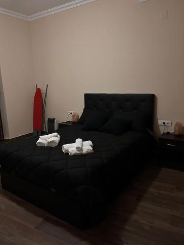 Moratin n3 apartamento 150m2 en el centro