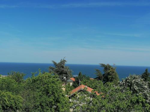 Gallery image of Villa Steffi in Golden Sands