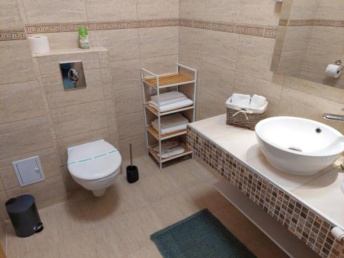 a bathroom with a sink and a toilet at Vero Residence Predeal in Predeal