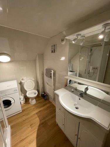 a bathroom with a sink and a toilet and a mirror at F4 6 personnes proche centre Mont Dore in Le Mont-Dore