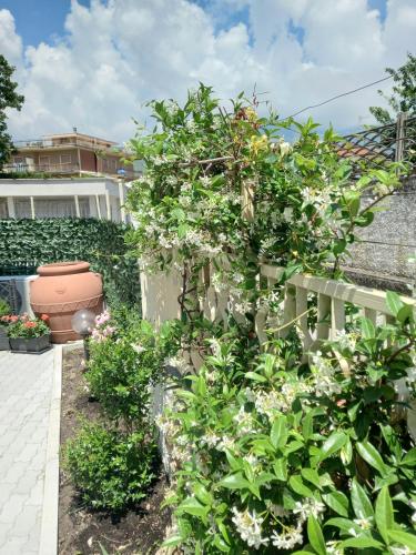 Parco dei Gerani - Il monolocale e la camera - Room and Studioにある庭