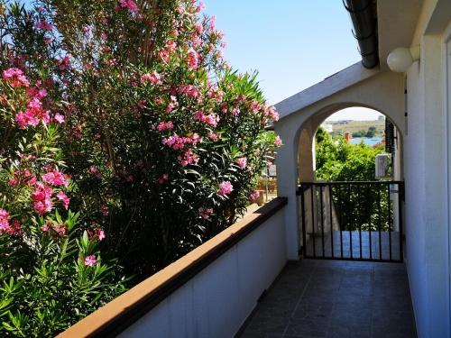 Balkón nebo terasa v ubytování Apartments MINT Povljana - 50m from sandy beach