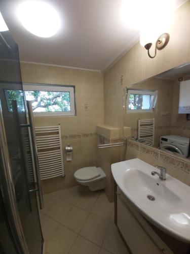 La salle de bains est pourvue d'un lavabo, de toilettes et d'un miroir. dans l'établissement KASZUBIANKA 1, à Gdynia
