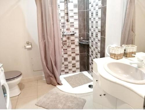 une salle de bain avec une douche, des toilettes et un lavabo dans l'établissement Appartement cosy à Villeneuve avec jardin privé, à Villeneuve-dʼAveyron