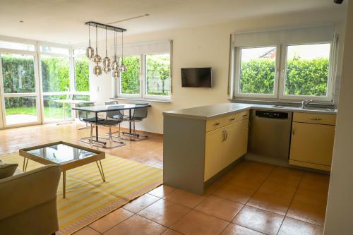 巴特菲爾伯爾的住宿－Art & Nature Apartments in der Nähe FFM-Messe，厨房以及带桌子和沙发的客厅。