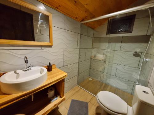 a bathroom with a sink and a toilet and a shower at Chalés De Cambará in Cambará