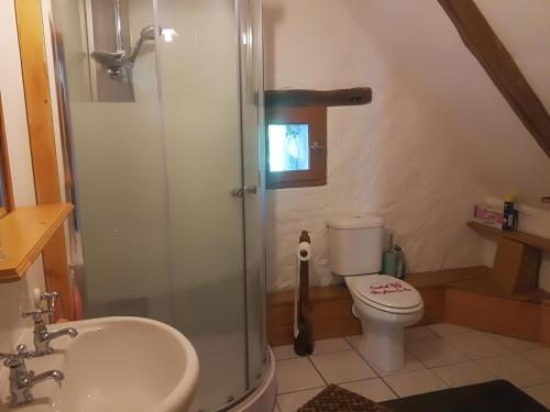 a bathroom with a shower and a toilet and a sink at La Petite Maison Pont Blanchard, in Pléaux