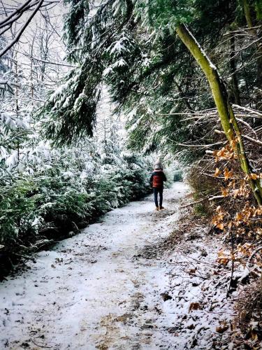 a person walking down a snow covered trail at Giewont Mountain View Apartment in Zakopane