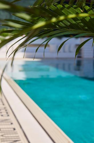 a close up of a swimming pool with a palm tree at CODA Williamsburg in Brooklyn