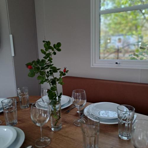 a table with glasses and a vase with a plant on it at Camping Baalse Hei in Turnhout