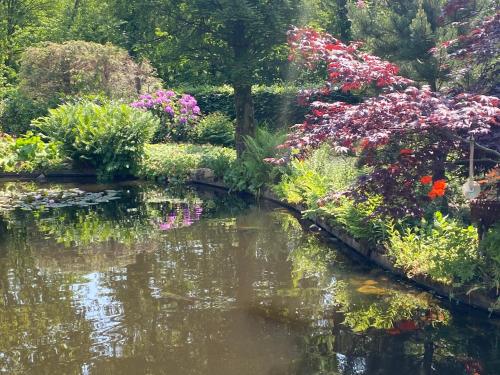 un jardín con flores y un estanque en B&B. Het Hunebed Rolde en Rolde
