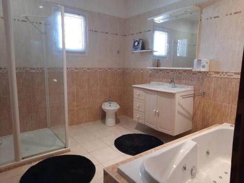 een badkamer met een douche, een wastafel en een toilet bij Chez Papi à Lascaux in Montignac