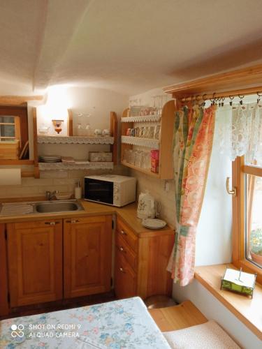 a small kitchen with a sink and a microwave at Pension Fanlor in Zubčická Lhotka