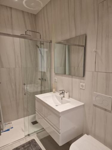 une salle de bain avec un lavabo, une douche et des toilettes dans l'établissement Superb 1 Bedroom flat 2minutes from Monaco, à Beausoleil