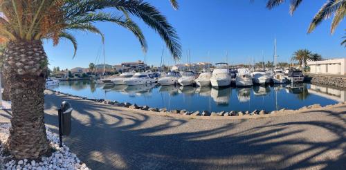 Cap d'Agde Suit'Appart 42m2 T2 Village Naturiste photo 26