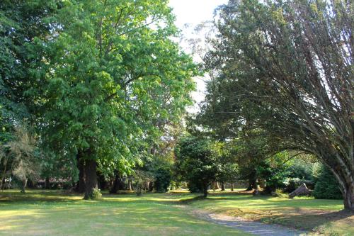 a park with trees and a path in the grass at HOTEL BOUTIQUE VILLA DEL MARQUÉS in Muros de Nalón
