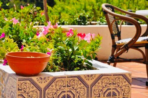 a bowl sitting on a table next to flowers at Sun Beach in Ajaccio