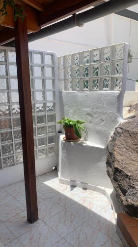 a potted plant sitting on a white wall at Apartamentos Villa Aurora in Valle Gran Rey